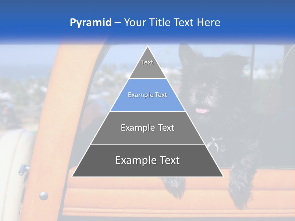 A Small Black Dog Sitting In The Back Of A Truck PowerPoint Template