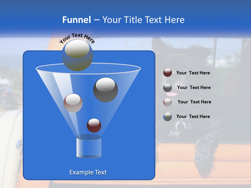 A Small Black Dog Sitting In The Back Of A Truck PowerPoint Template