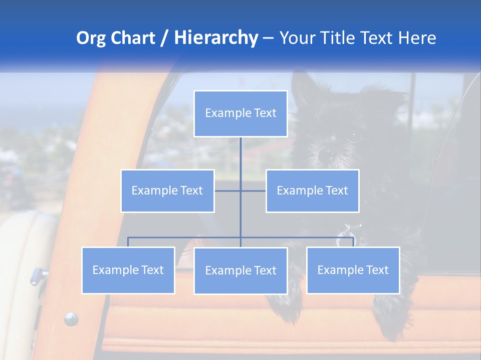A Small Black Dog Sitting In The Back Of A Truck PowerPoint Template