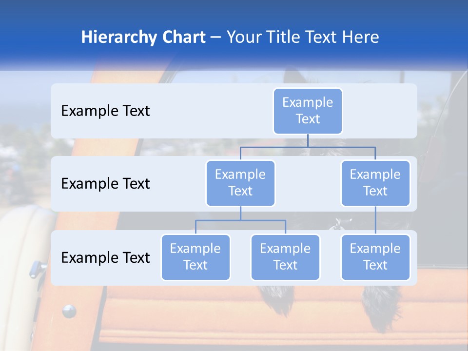 A Small Black Dog Sitting In The Back Of A Truck PowerPoint Template