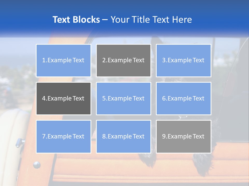 A Small Black Dog Sitting In The Back Of A Truck PowerPoint Template