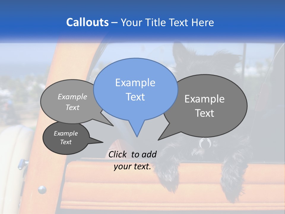 A Small Black Dog Sitting In The Back Of A Truck PowerPoint Template