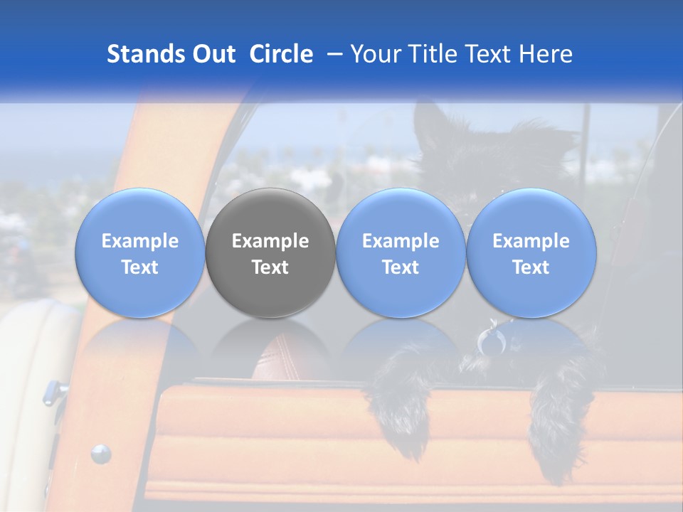 A Small Black Dog Sitting In The Back Of A Truck PowerPoint Template
