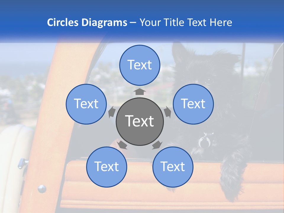 A Small Black Dog Sitting In The Back Of A Truck PowerPoint Template