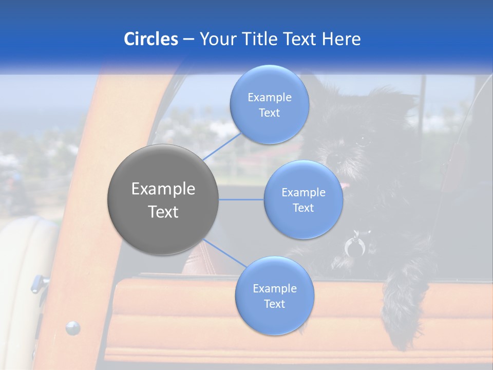 A Small Black Dog Sitting In The Back Of A Truck PowerPoint Template
