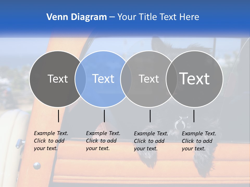 A Small Black Dog Sitting In The Back Of A Truck PowerPoint Template