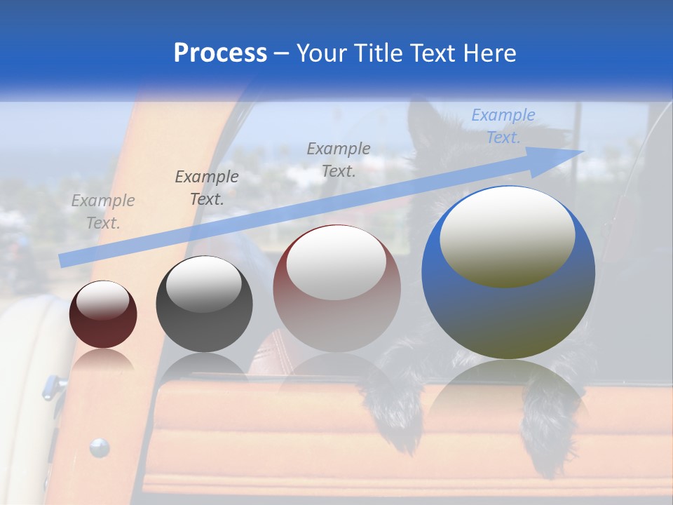 A Small Black Dog Sitting In The Back Of A Truck PowerPoint Template