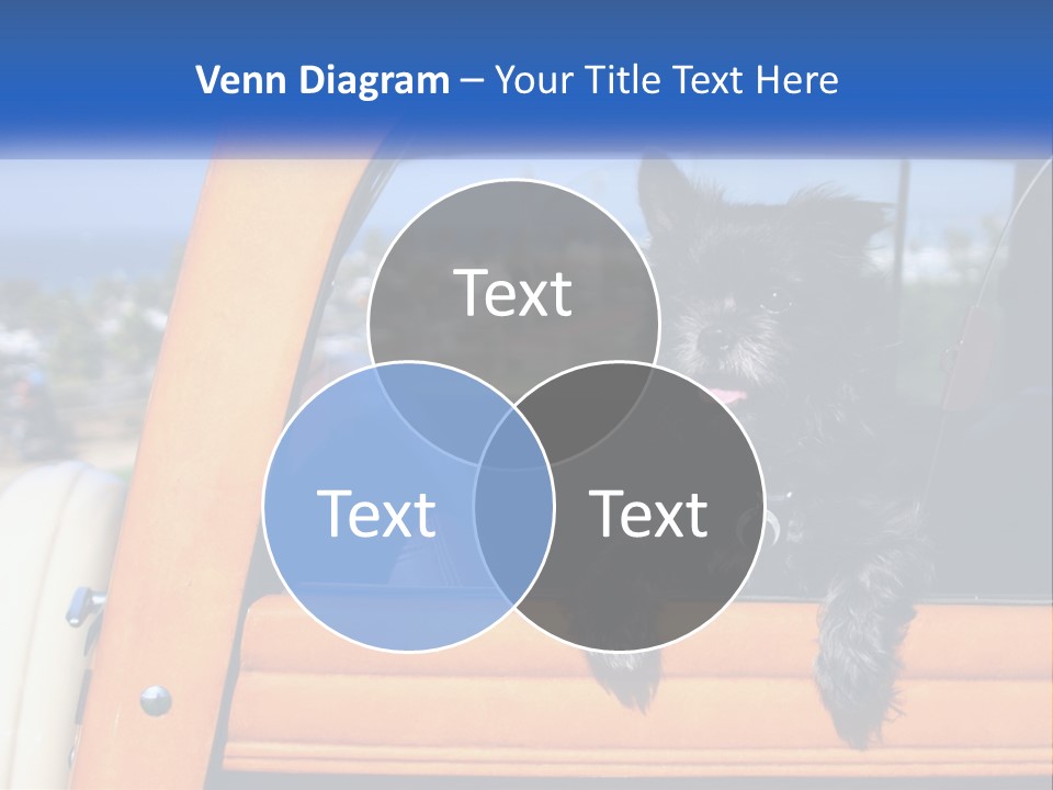 A Small Black Dog Sitting In The Back Of A Truck PowerPoint Template