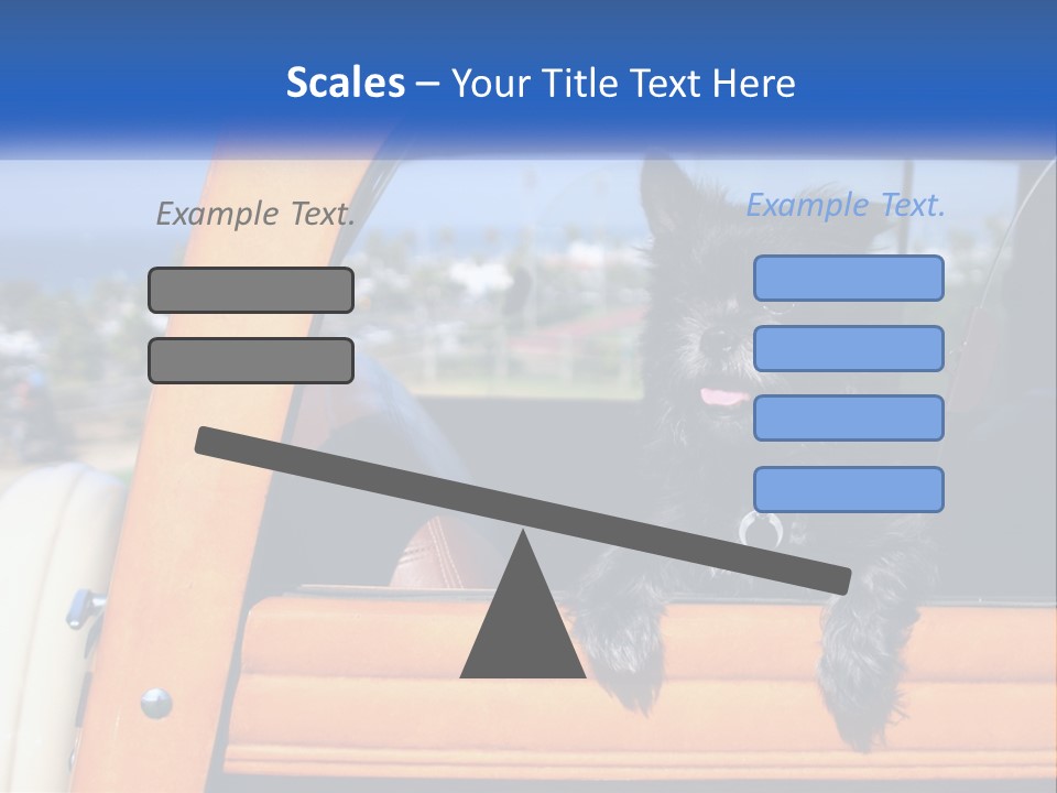 A Small Black Dog Sitting In The Back Of A Truck PowerPoint Template