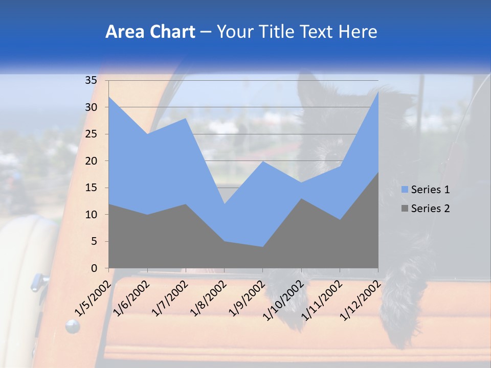 A Small Black Dog Sitting In The Back Of A Truck PowerPoint Template