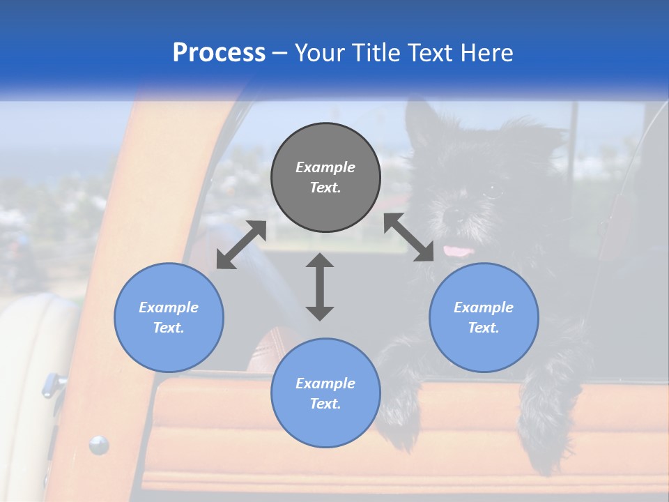 A Small Black Dog Sitting In The Back Of A Truck PowerPoint Template