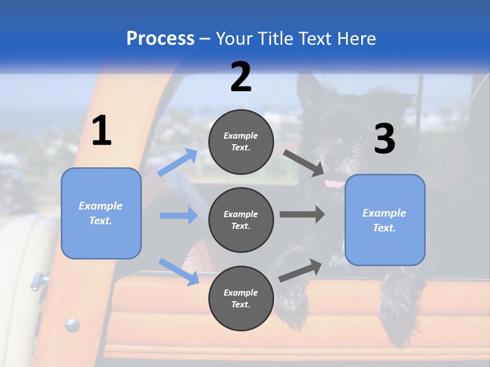 A Small Black Dog Sitting In The Back Of A Truck PowerPoint Template