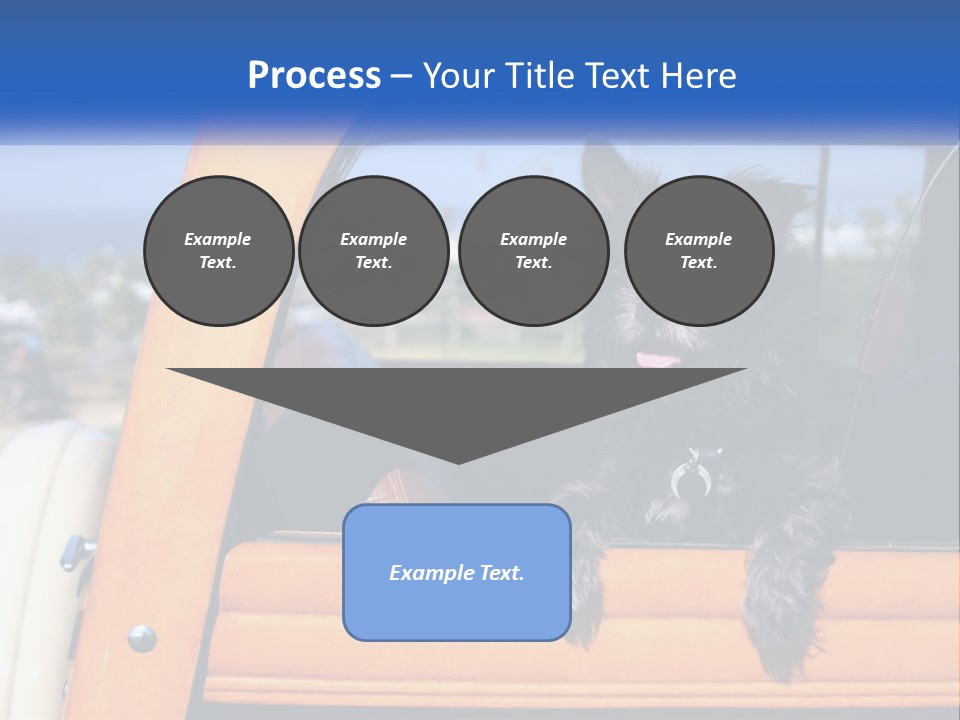 A Small Black Dog Sitting In The Back Of A Truck PowerPoint Template