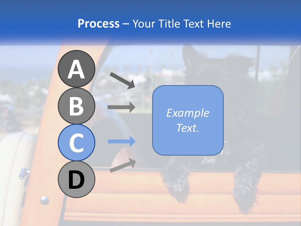 A Small Black Dog Sitting In The Back Of A Truck PowerPoint Template