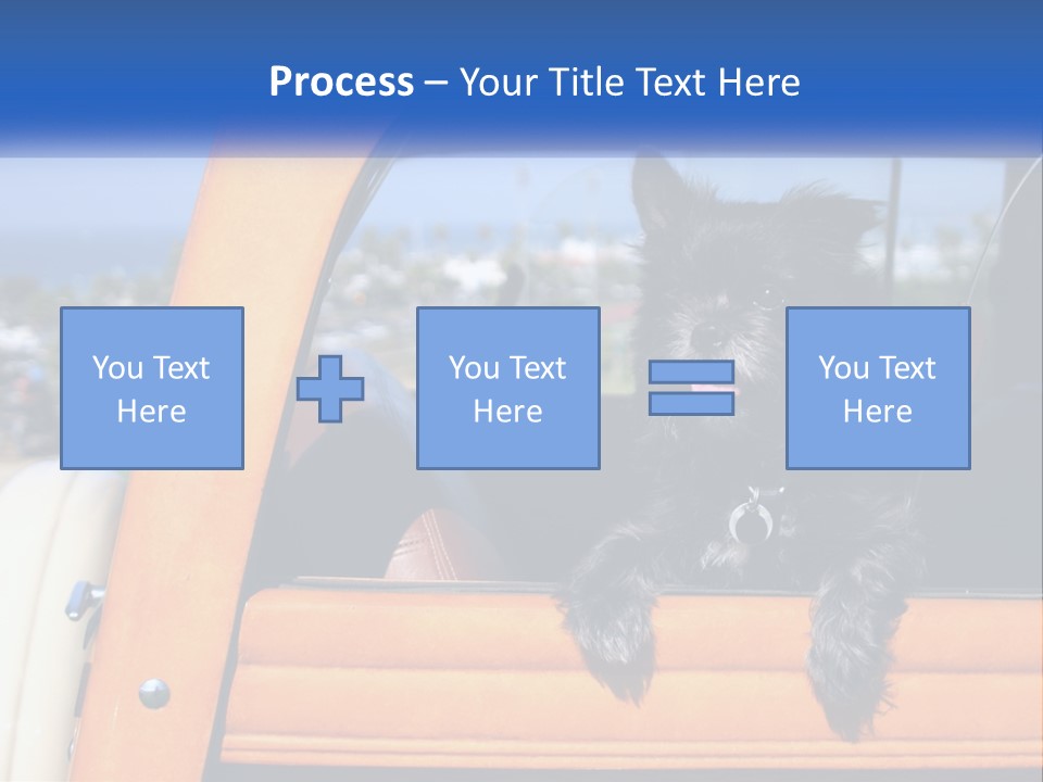 A Small Black Dog Sitting In The Back Of A Truck PowerPoint Template