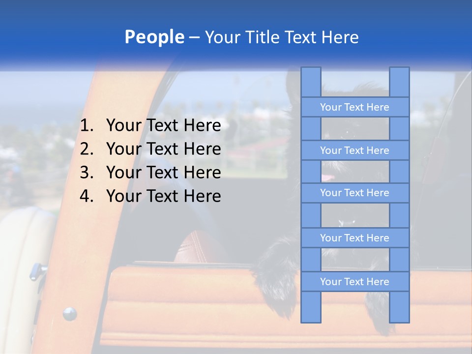 A Small Black Dog Sitting In The Back Of A Truck PowerPoint Template