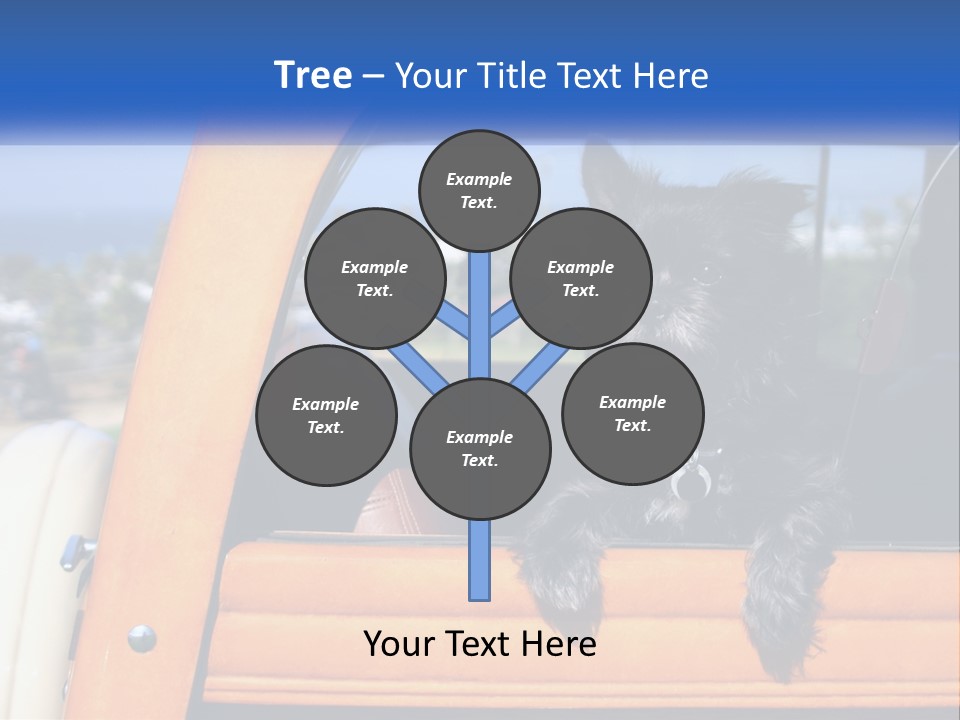 A Small Black Dog Sitting In The Back Of A Truck PowerPoint Template
