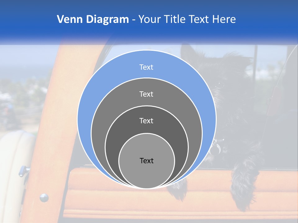 A Small Black Dog Sitting In The Back Of A Truck PowerPoint Template