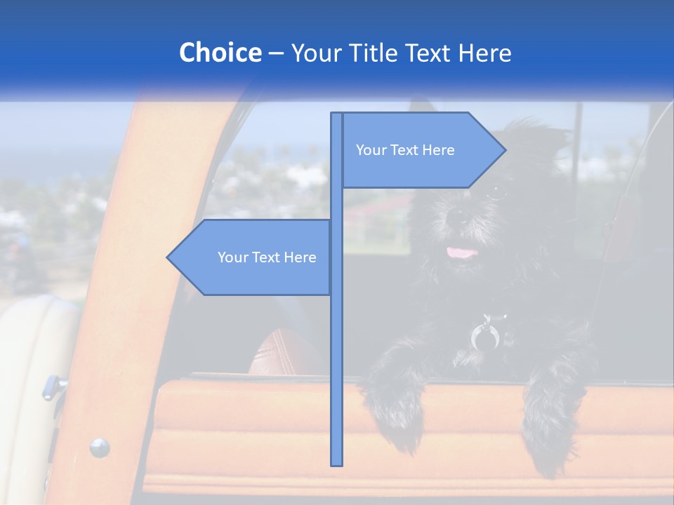 A Small Black Dog Sitting In The Back Of A Truck PowerPoint Template