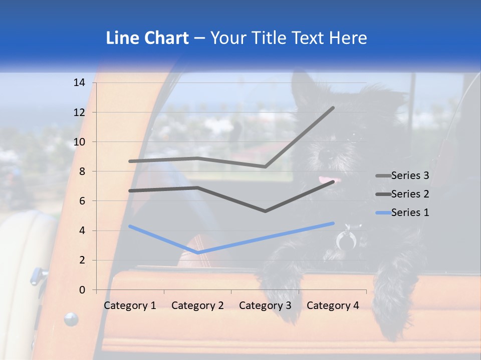 A Small Black Dog Sitting In The Back Of A Truck PowerPoint Template