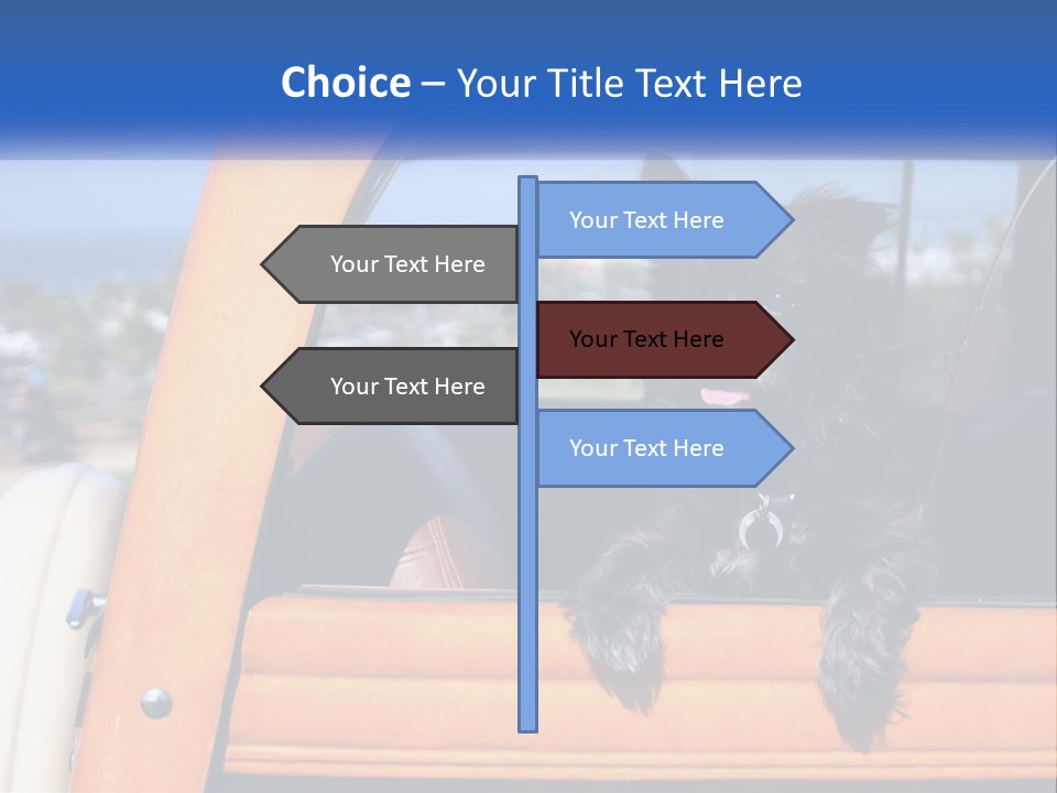 A Small Black Dog Sitting In The Back Of A Truck PowerPoint Template