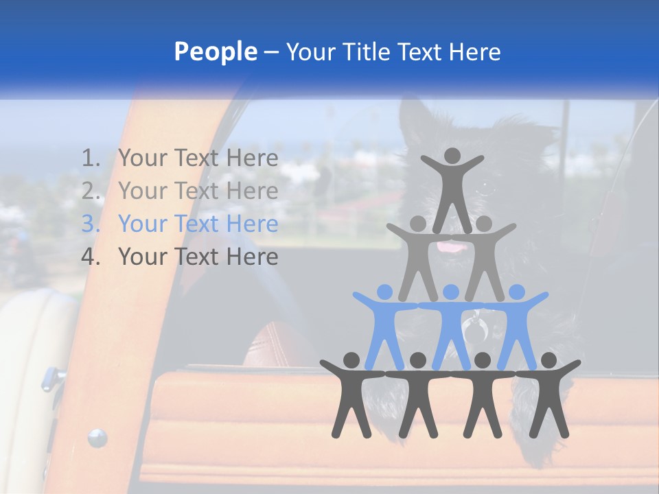 A Small Black Dog Sitting In The Back Of A Truck PowerPoint Template