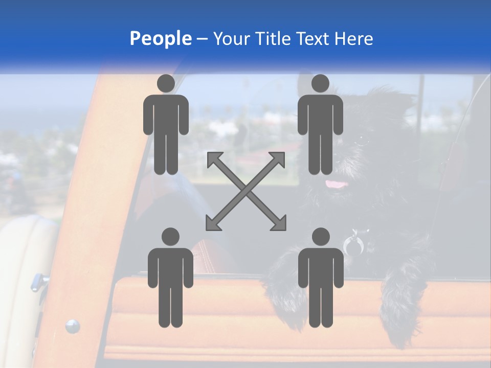 A Small Black Dog Sitting In The Back Of A Truck PowerPoint Template