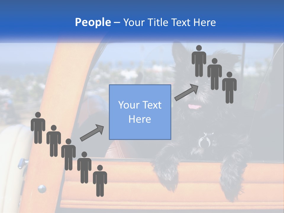 A Small Black Dog Sitting In The Back Of A Truck PowerPoint Template