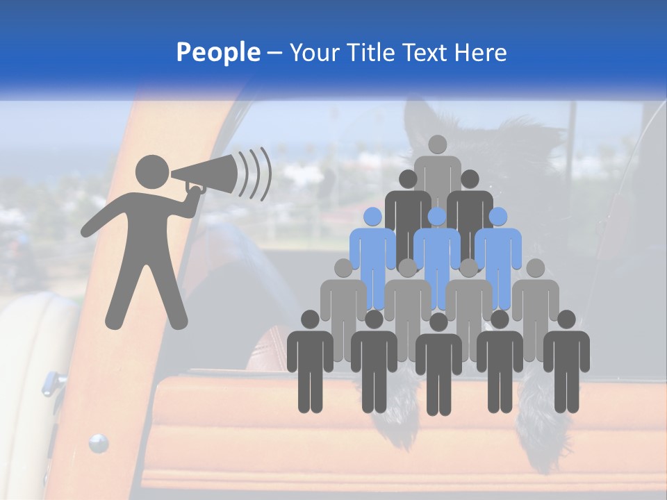 A Small Black Dog Sitting In The Back Of A Truck PowerPoint Template