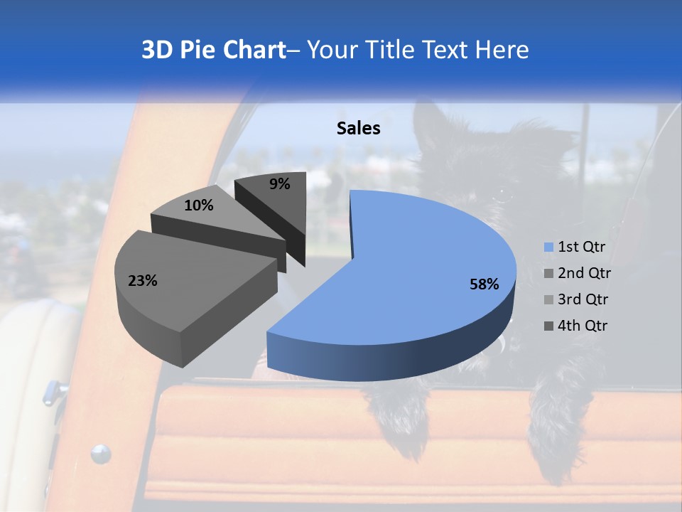 A Small Black Dog Sitting In The Back Of A Truck PowerPoint Template