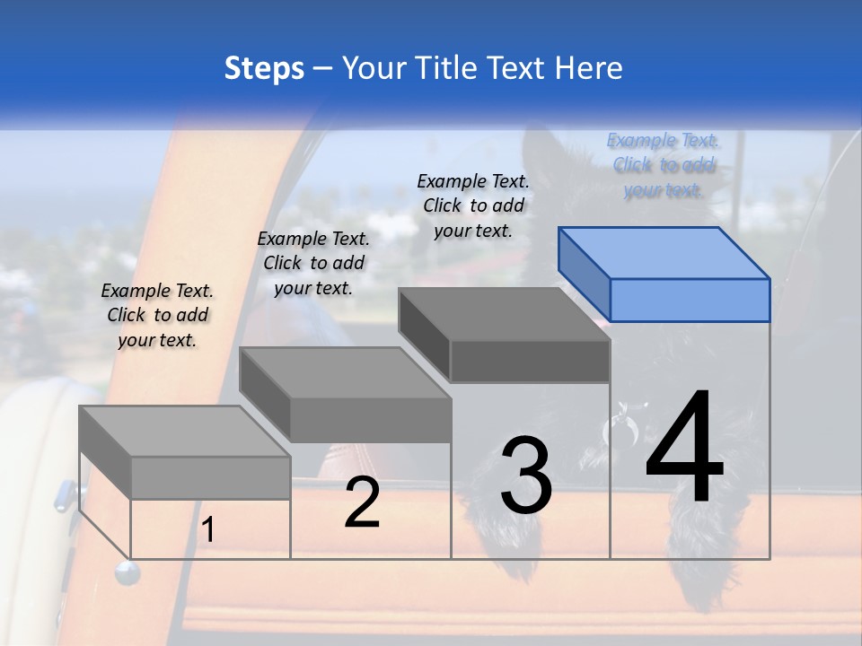 A Small Black Dog Sitting In The Back Of A Truck PowerPoint Template