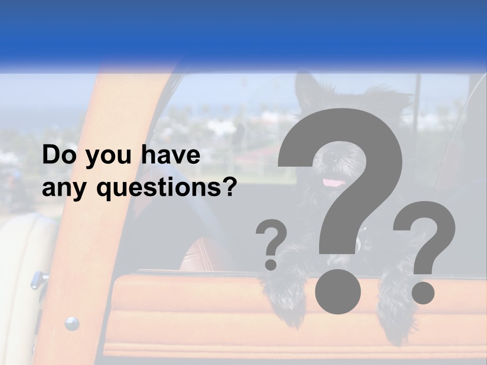 A Small Black Dog Sitting In The Back Of A Truck PowerPoint Template