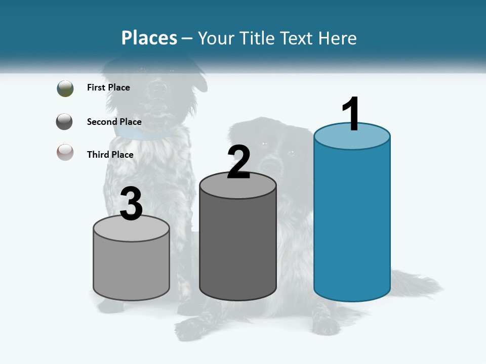 Two Dogs Sitting Next To Each Other On A White Background PowerPoint Template