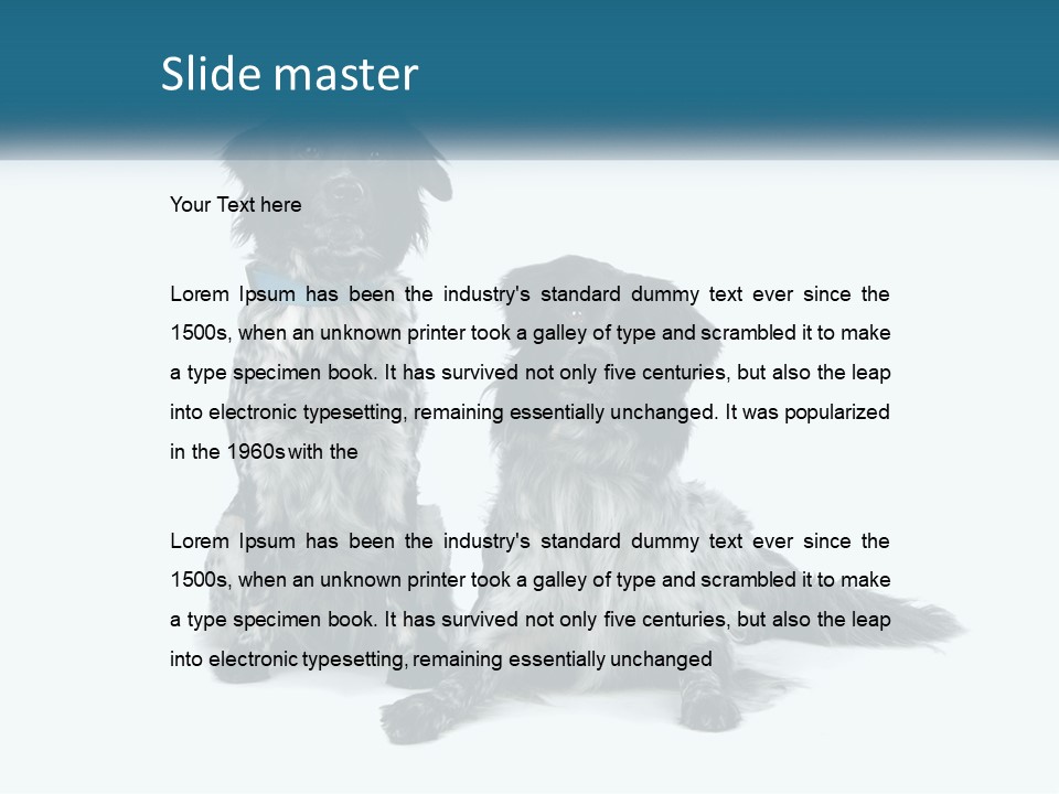 Two Dogs Sitting Next To Each Other On A White Background PowerPoint Template