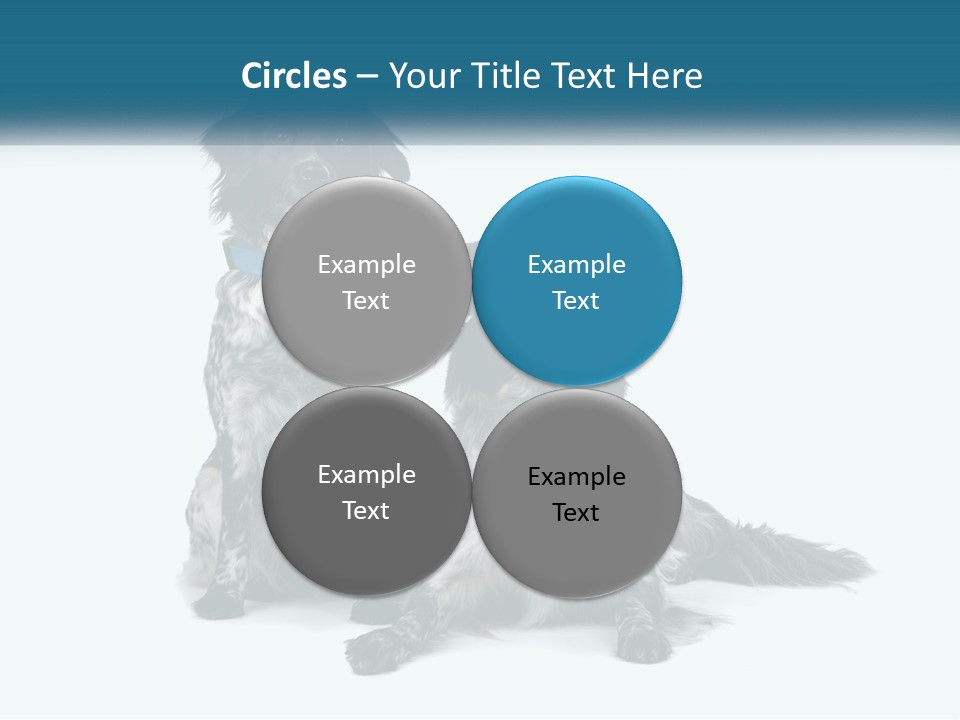 Two Dogs Sitting Next To Each Other On A White Background PowerPoint Template