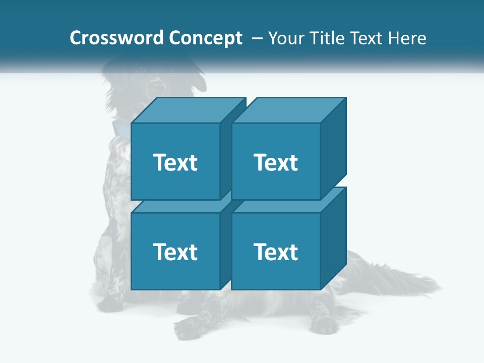 Two Dogs Sitting Next To Each Other On A White Background PowerPoint Template