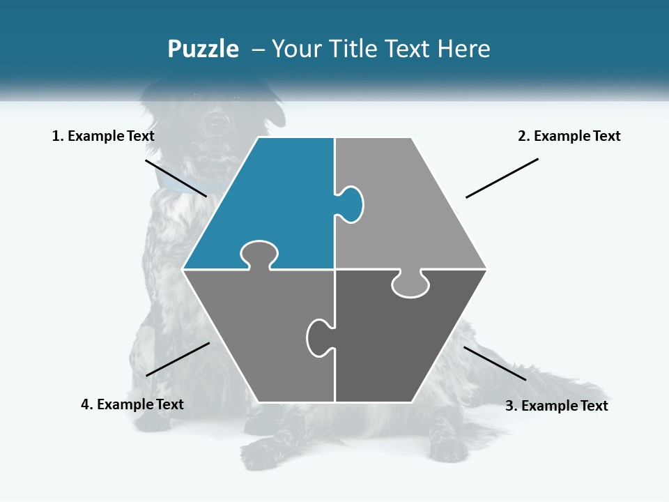 Two Dogs Sitting Next To Each Other On A White Background PowerPoint Template