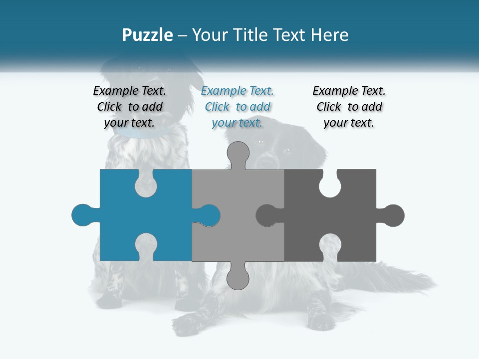 Two Dogs Sitting Next To Each Other On A White Background PowerPoint Template