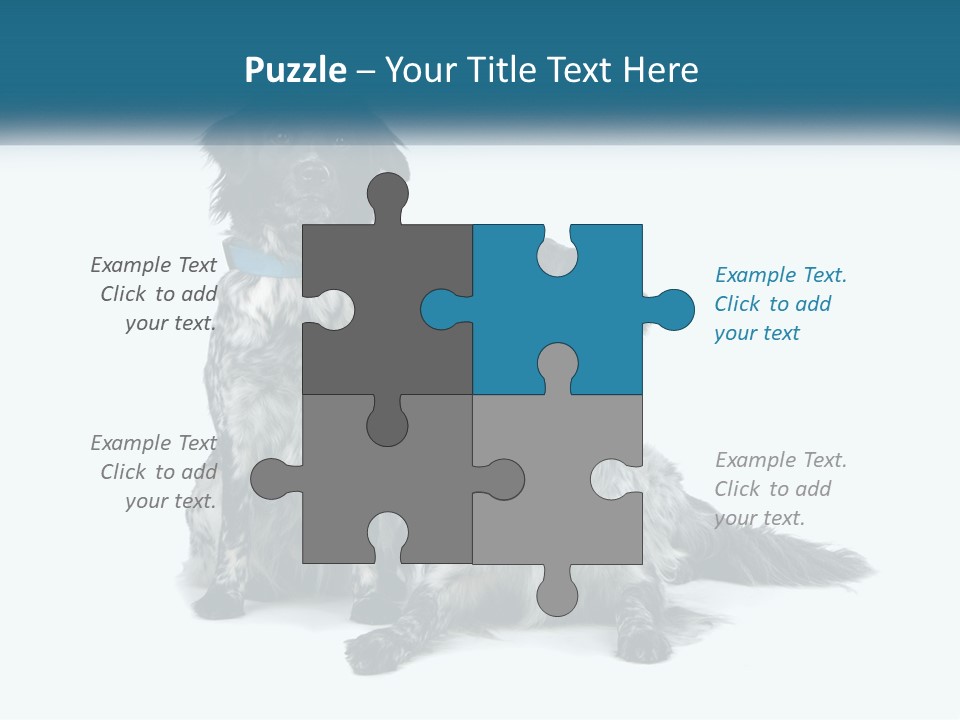 Two Dogs Sitting Next To Each Other On A White Background PowerPoint Template