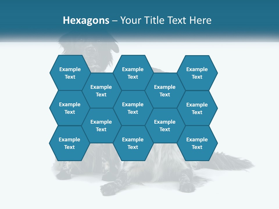 Two Dogs Sitting Next To Each Other On A White Background PowerPoint Template