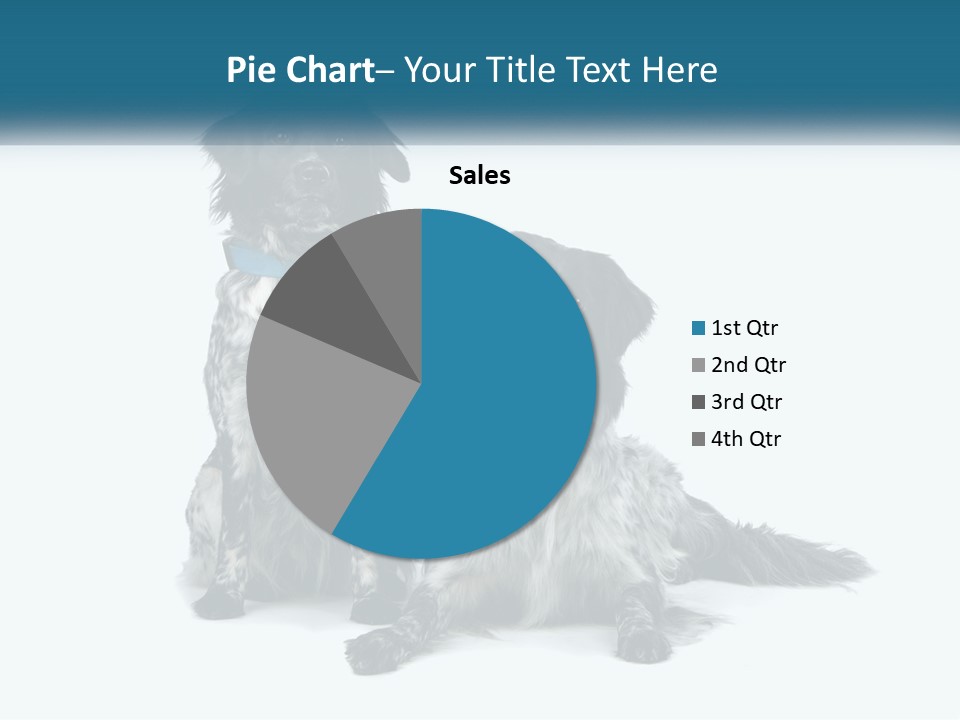 Two Dogs Sitting Next To Each Other On A White Background PowerPoint Template