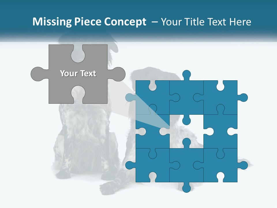 Two Dogs Sitting Next To Each Other On A White Background PowerPoint Template