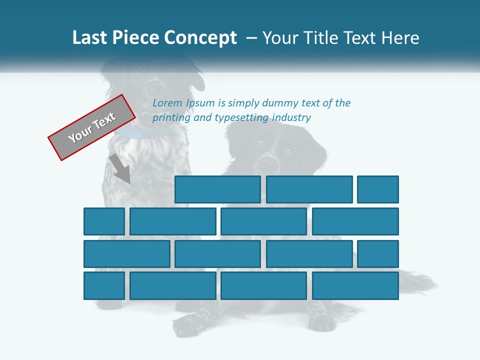 Two Dogs Sitting Next To Each Other On A White Background PowerPoint Template