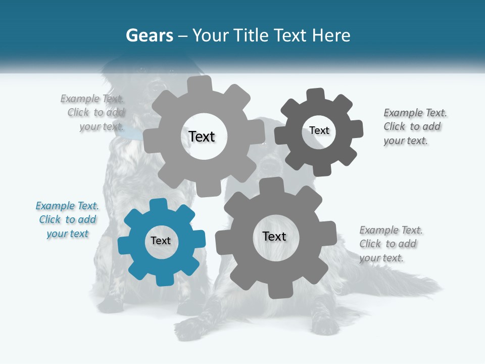 Two Dogs Sitting Next To Each Other On A White Background PowerPoint Template