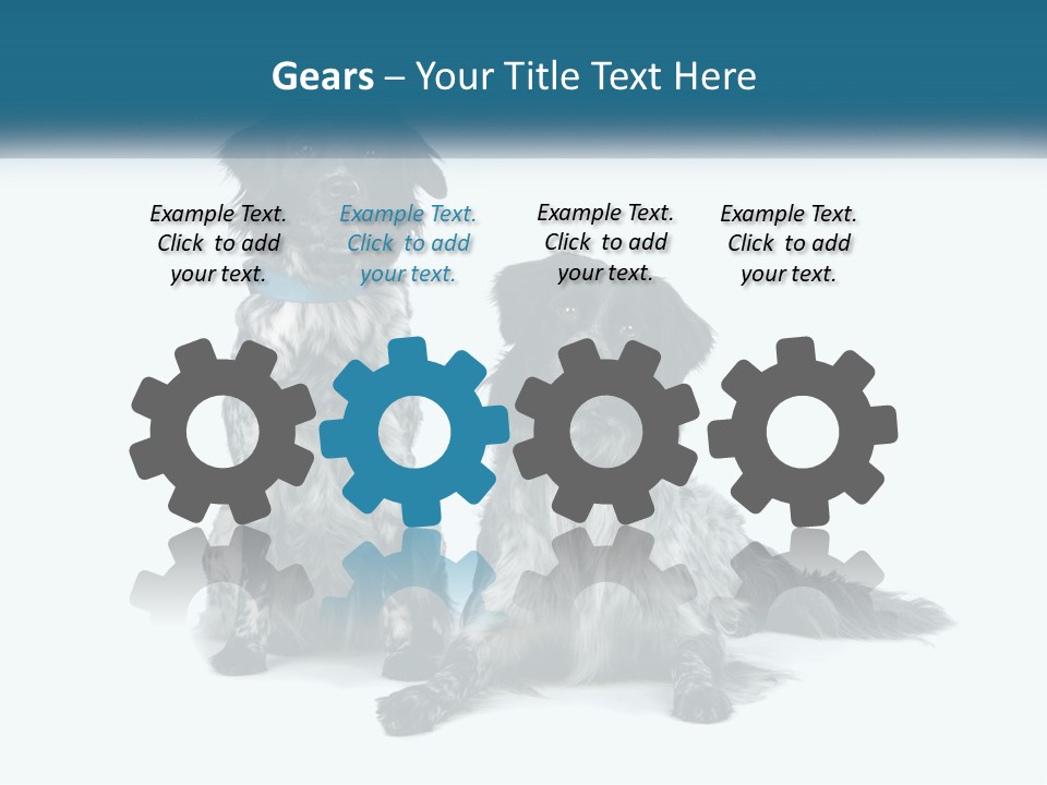 Two Dogs Sitting Next To Each Other On A White Background PowerPoint Template