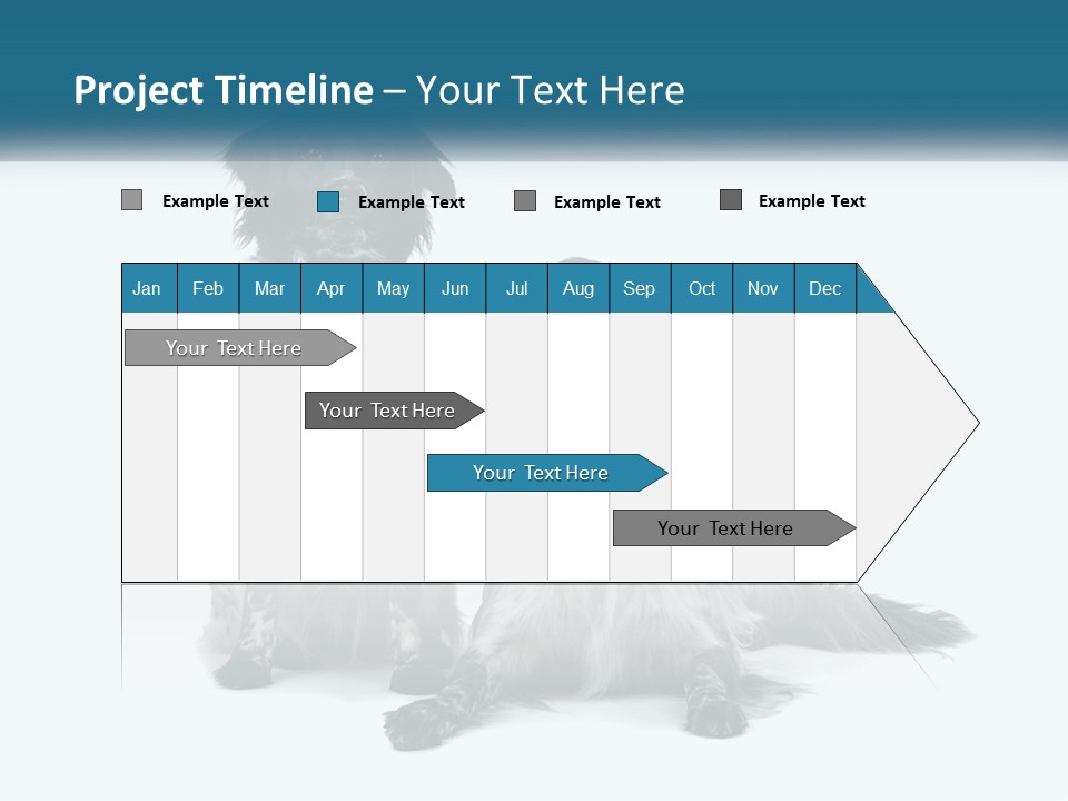 Two Dogs Sitting Next To Each Other On A White Background PowerPoint Template