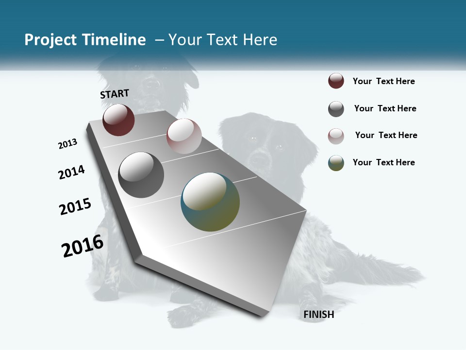 Two Dogs Sitting Next To Each Other On A White Background PowerPoint Template