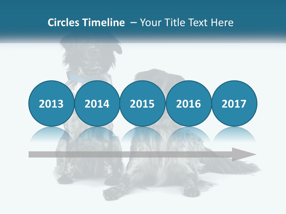 Two Dogs Sitting Next To Each Other On A White Background PowerPoint Template