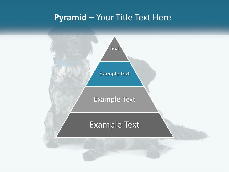 Two Dogs Sitting Next To Each Other On A White Background PowerPoint Template