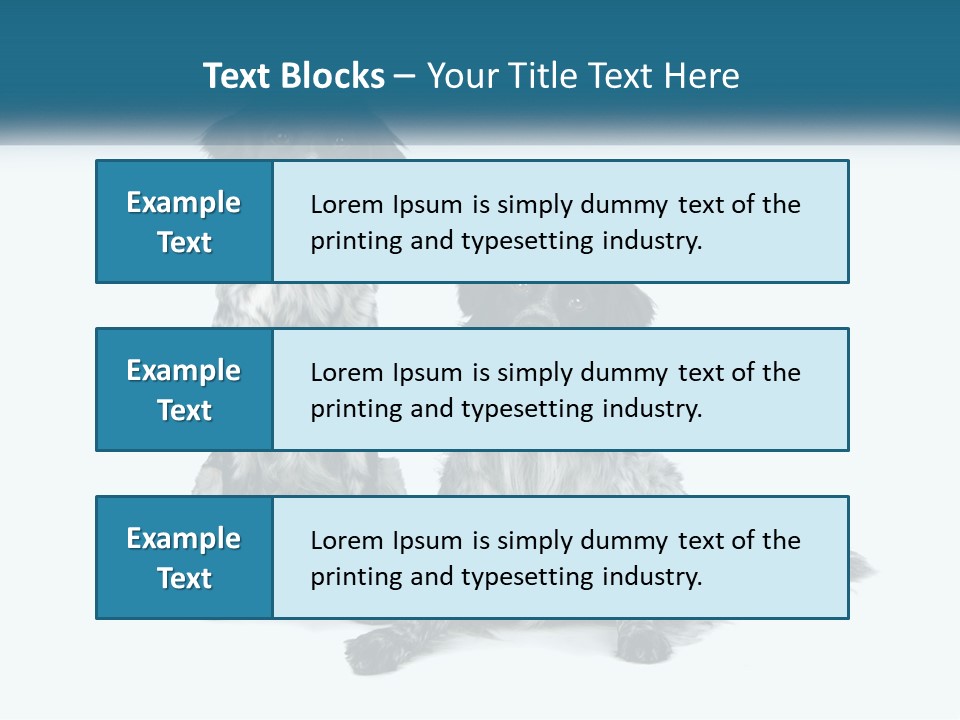 Two Dogs Sitting Next To Each Other On A White Background PowerPoint Template